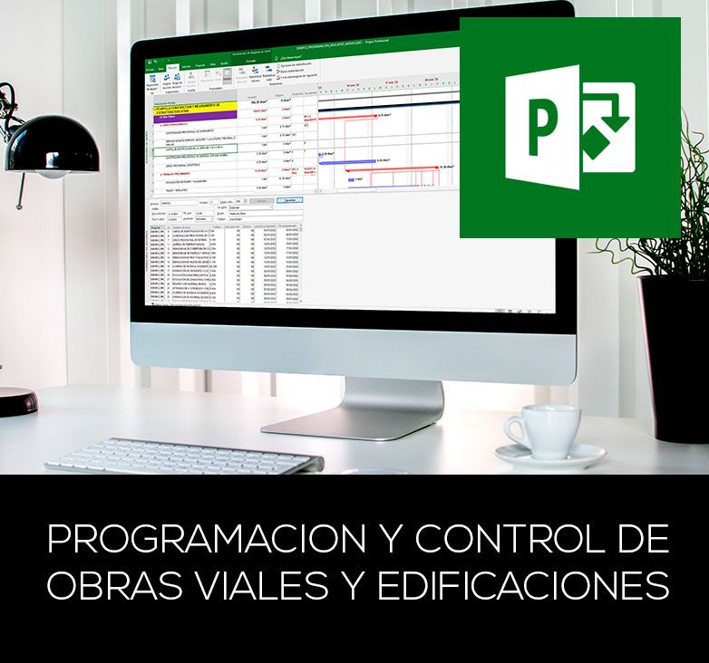Programación y control de obras viales y de edificaciones con MS-PROJECT  y EXCEL